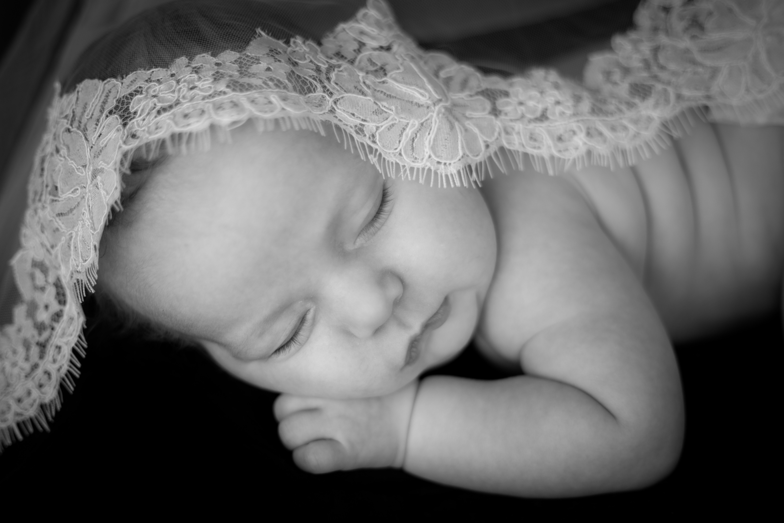 Longmont Newborn Photographer - wedding veil