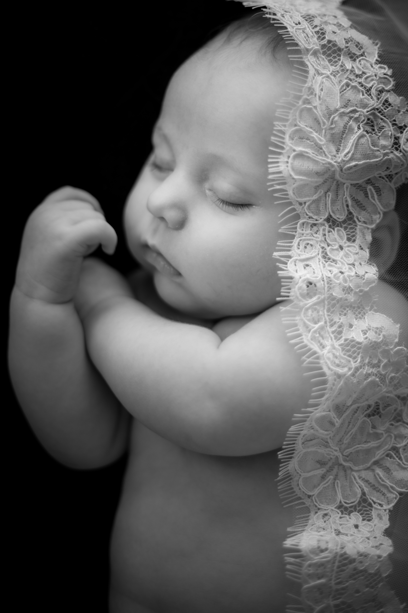 Longmont Newborn Photographer - wedding veil