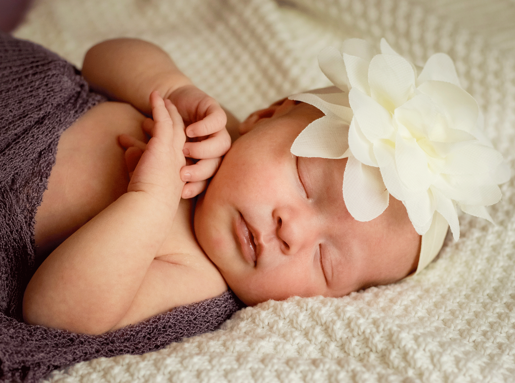 Longmont Newborn Photographer