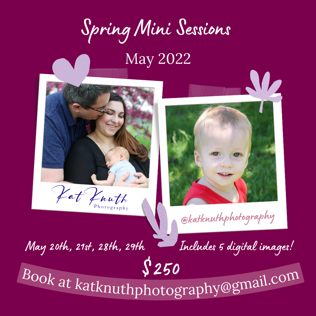 Longmont Family Photographer Spring Mini Sessions